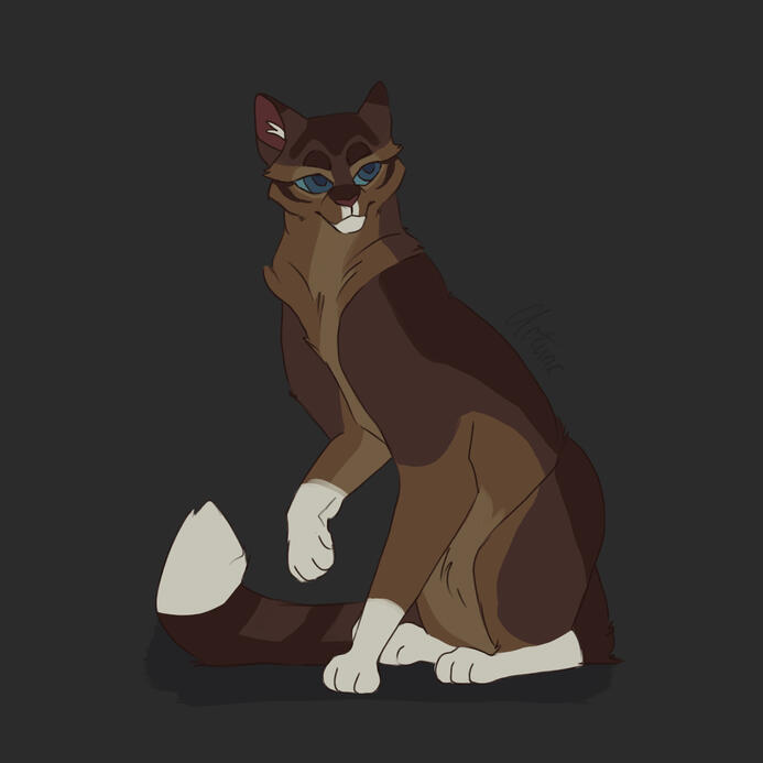 flat color (500 robux / $5 nitro)