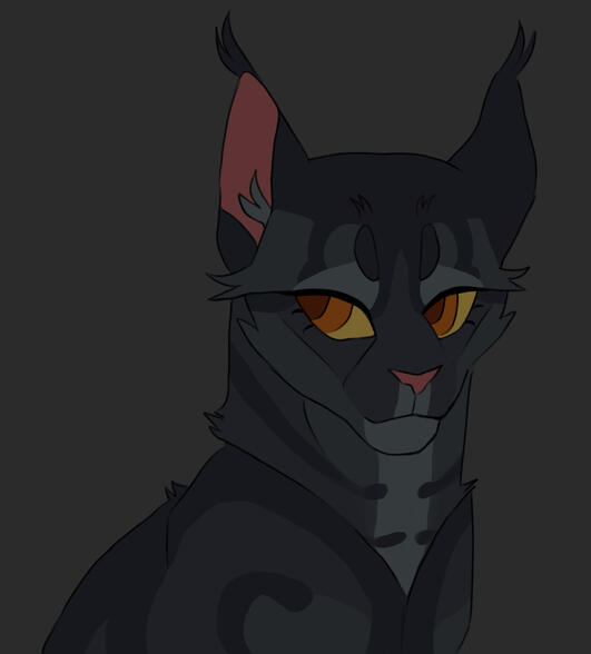 flat color (300 robux)